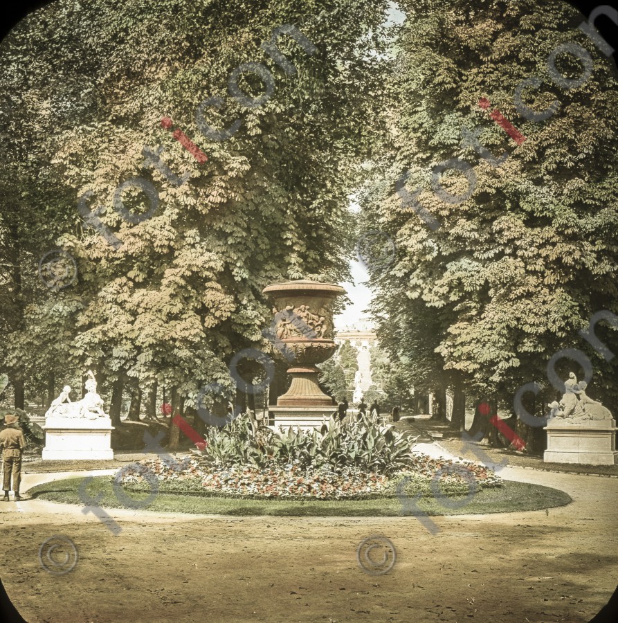 Garten in Sanssouci ; Garden at Sanssouci - Foto foticon-simon-fr-d-grosse-190-028.jpg | foticon.de - Bilddatenbank für Motive aus Geschichte und Kultur